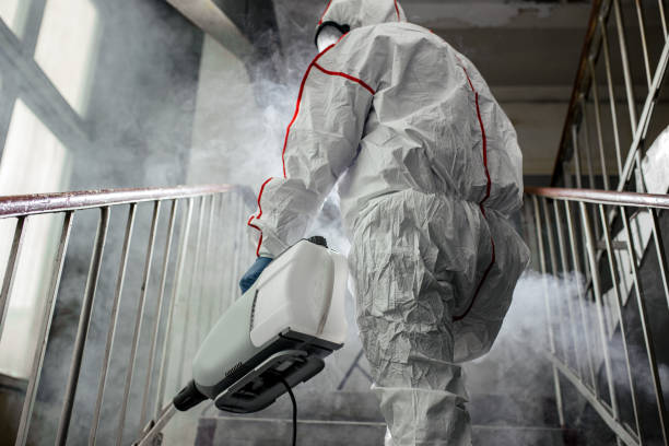 Reliable Lemont, IL Mold Removal Solutions